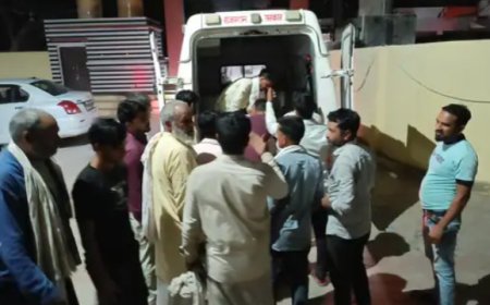 कैमासा मोड़ पर जंगली जानवर से टकराई बाइक:ड्राइवर गंभीर घायल, अलवर रेफर;  गोविंदगढ़-सीकरी सड़क मार्ग पर हुआ हादसा