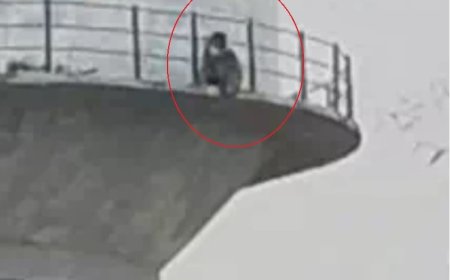 शादी के लिए 'शोले स्टाइल' में ड्रामा... प्रेमी से ब्याह की जिद में हाई वोल्टेज टावर पर चढ़ी युवती, हां सुनते ही उतरी नीचे