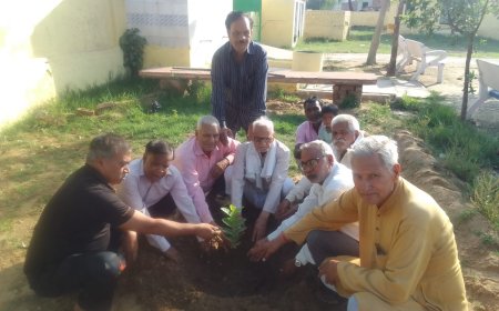 पौधारोपण पर्यावरण एवं मानव जीवन के लिए आवश्यक; मोक्ष धाम में किया पौधारोपण