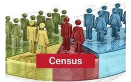जनगणना में गलत जानकारी देने पर हो सकती है गिरफ्तारी?
