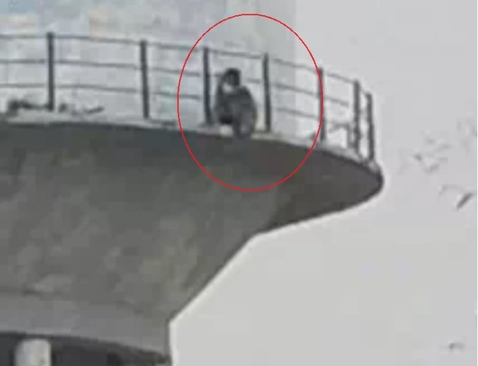 शादी के लिए 'शोले स्टाइल' में ड्रामा... प्रेमी से ब्याह की जिद में हाई वोल्टेज टावर पर चढ़ी युवती, हां सुनते ही उतरी नीचे