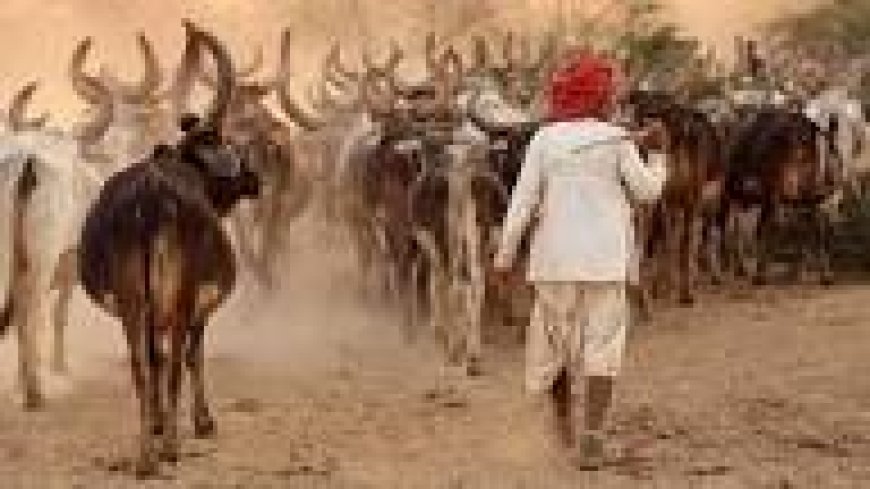 हर गांव में नियुक्त होगा एक ग्वाला, गाय चराने पर मिलेगा हर महीने 10 हजार रुपये