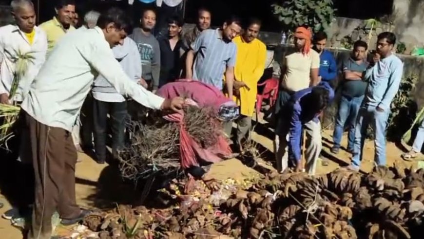 सुख-समृद्धि की कामना के साथ महिलाओं ने किया होली पूजन व  रात 1:30 बजे दहन व कीर्तन सत्संग का आयोजन