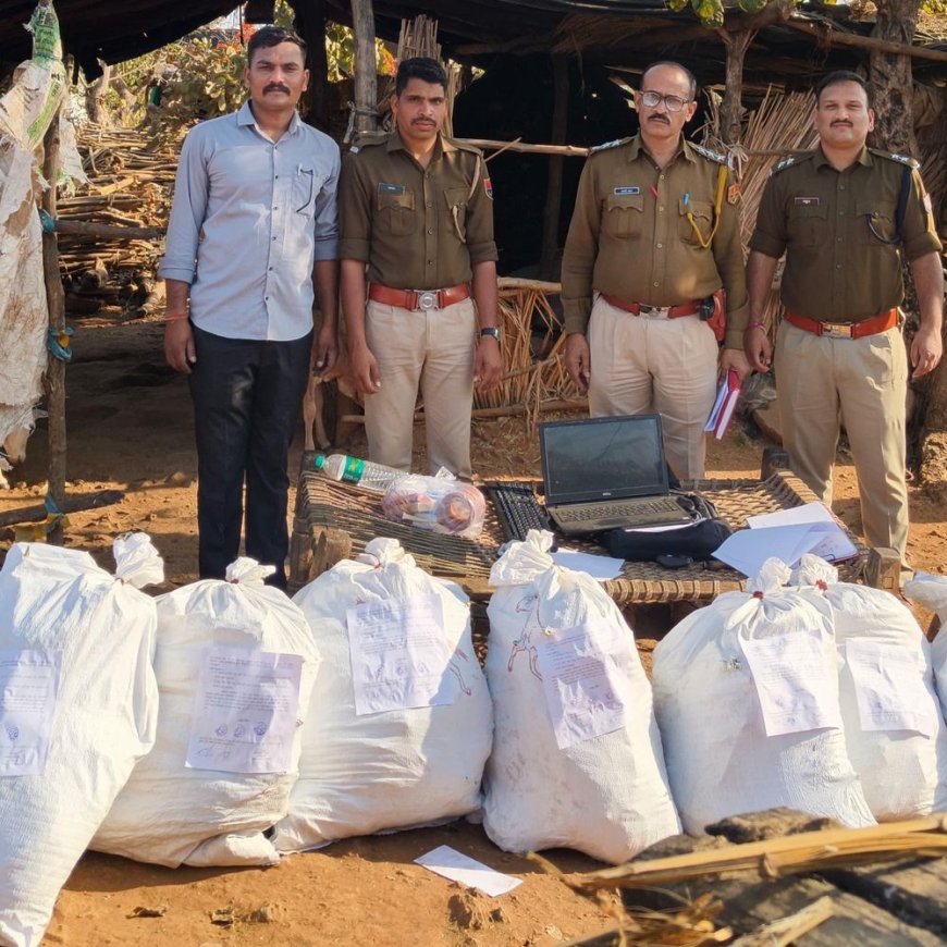 गेहूं की आड़ में नशे का कारोबार:  पुलिस ने पकड़ी ₹25.50 लाख की गांजे की खेती, एनडीपीएस एक्ट में मामला दर्ज