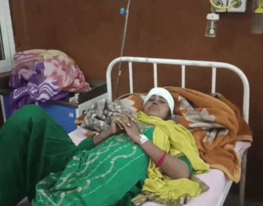 वर्ल्डकप फाइनल मैच में जश्न मनाने पर लाठी-डंडों से हमला: आरोप- छत पर चढ़कर गोली चलाई, युवती के सिर में 9 टांके आए