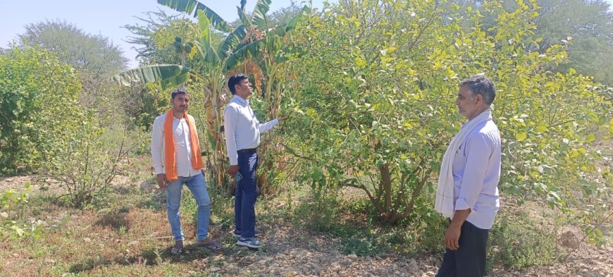 कृषि पर्यवेक्षक ने धामेंडा़ धाम में पेड़ पौधों का किया निरीक्षण; ऑक्सीजन बैक टू एनवायरनमेंट का सपना हो रहा साकार