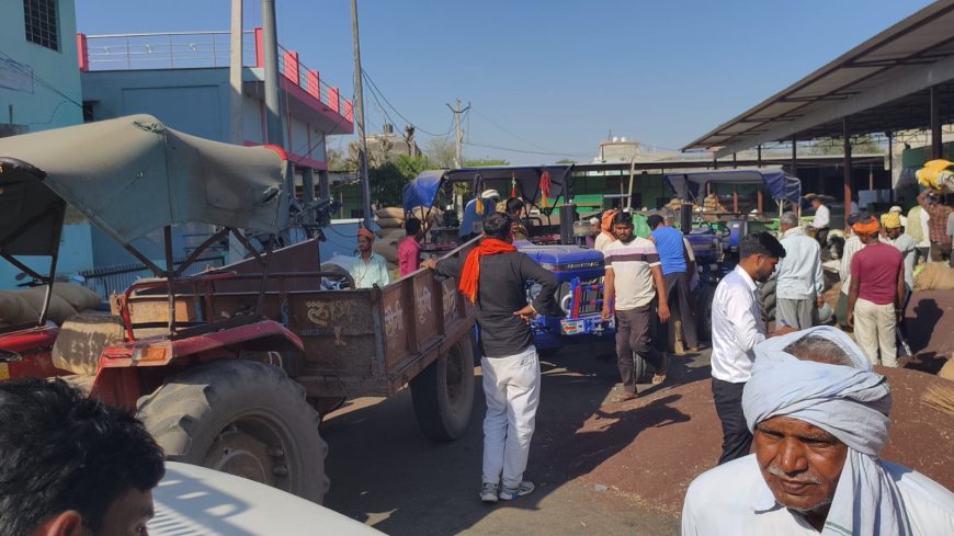 बड़ौदामेव में सरसों की 'सुनामी': सड़कों पर ट्रैक्टरों का कब्जा, बुधवार को नीलामी बंद, व्यापार मंडल ने लिया फैसला