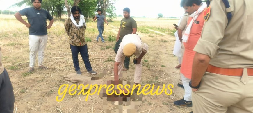 कैमासा के जंगल में मिला गोवंश का कटा हुआ सिर, पास ही कुएं में मिले गोवंश के अवशेष, पुलिस जांच मे जुटी