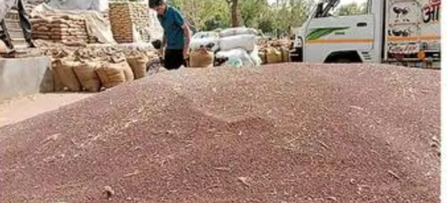 बाजार में सरसों तेज, एमएसपी पर बेचने को 17 ही रजिस्ट्रेशन ,जिले में 25 से शुरू होगी सरकारी खरीद