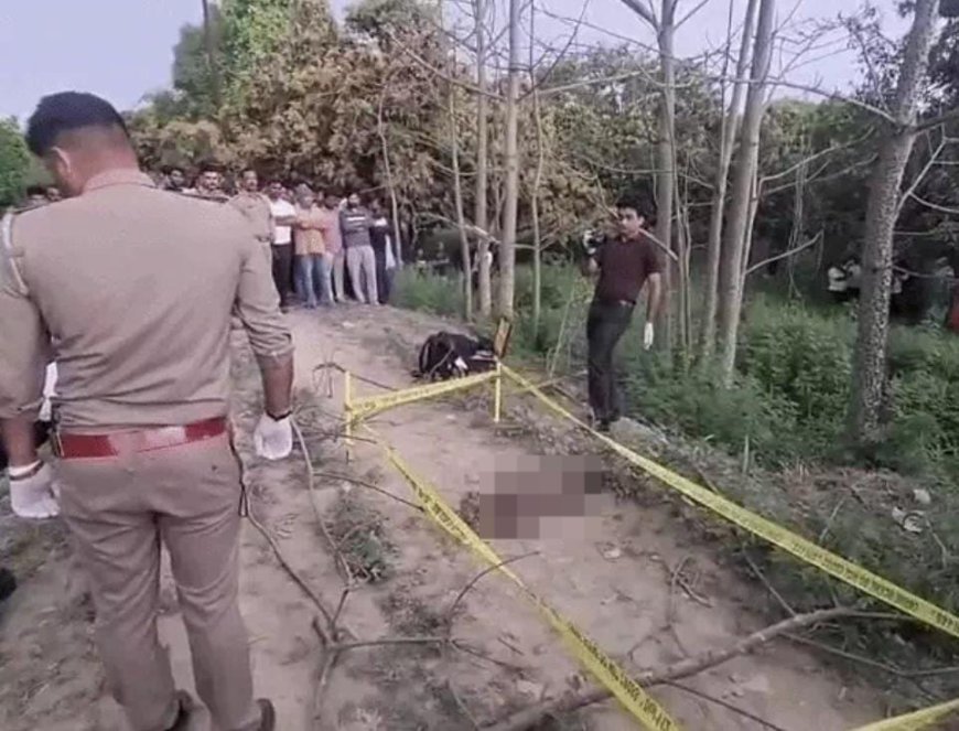 शादी की जिद पर प्रेमी ने 2 टुकड़े किए: बुलंदशहर में सिर और धड़ अलग-अलग फेंका, महिला से था 13 साल छोटा