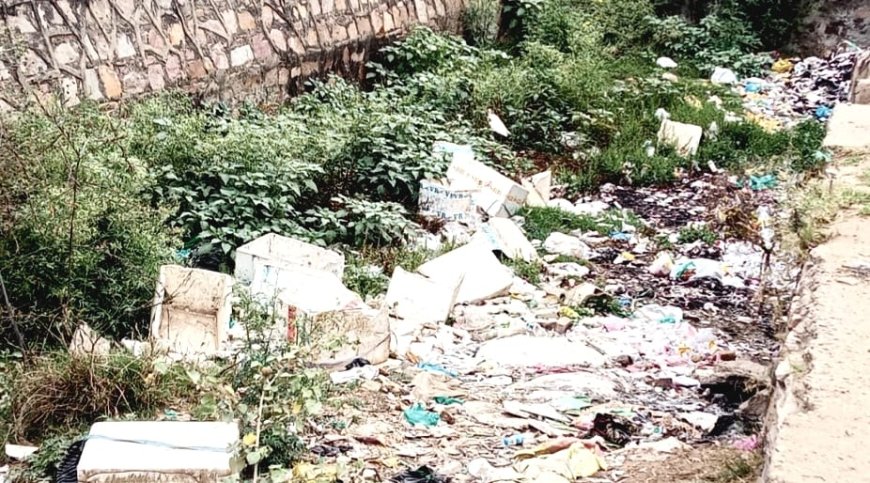 रात में फेंका जा रहा कचरा, 50 से अधिक कुत्तों का जमावड़ा, बीमारियों का बढ़ा खतरा, लोगों में रोष, जिम्मेदार नहीं दे रहे ध्यान;  गंदा नाला बना मुसीबत, अपशिष्ट से फैल रही दुर्गंध