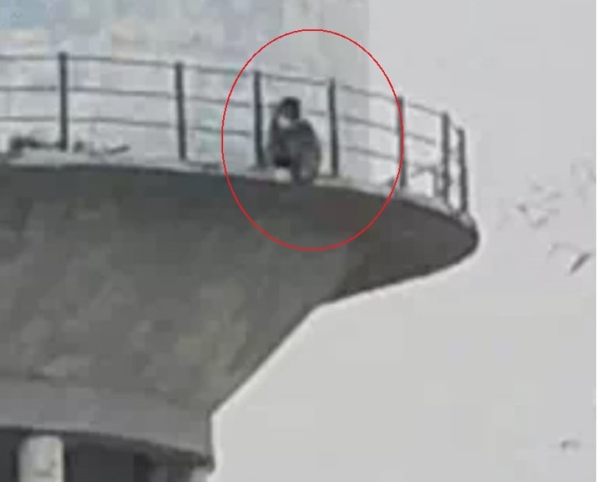 शादी के लिए 'शोले स्टाइल' में ड्रामा... प्रेमी से ब्याह की जिद में हाई वोल्टेज टावर पर चढ़ी युवती, हां सुनते ही उतरी नीचे