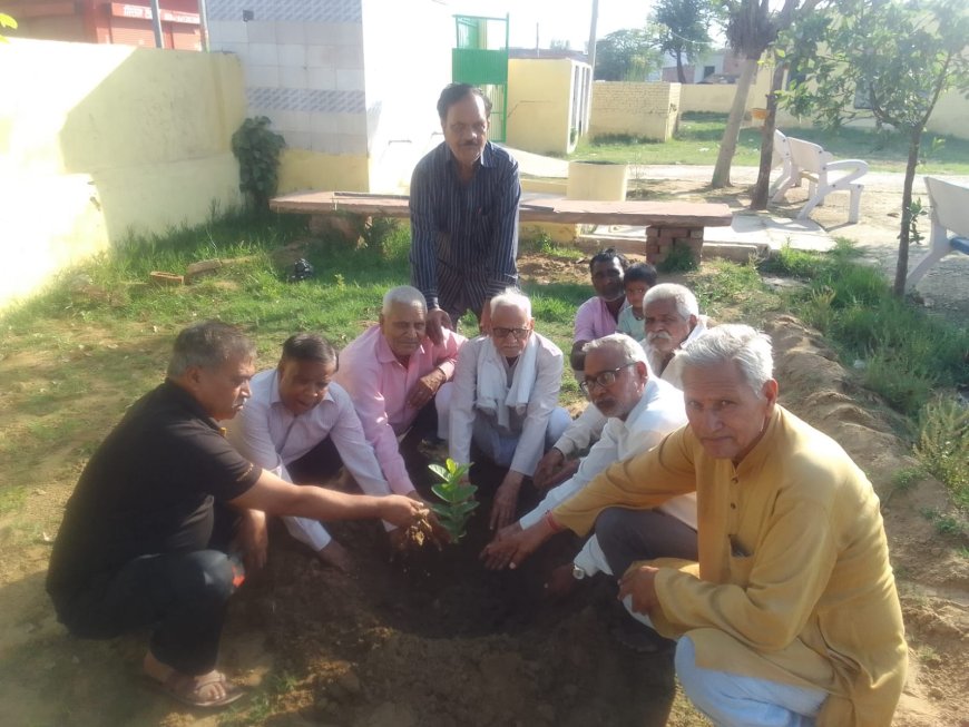 पौधारोपण पर्यावरण एवं मानव जीवन के लिए आवश्यक; मोक्ष धाम में किया पौधारोपण