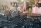 गैस रिसाव से लगी भीषण आग से घर और छप्परपोश में लगी आग; लाखों का सामान जला, 3 भैंसें झुलसीं