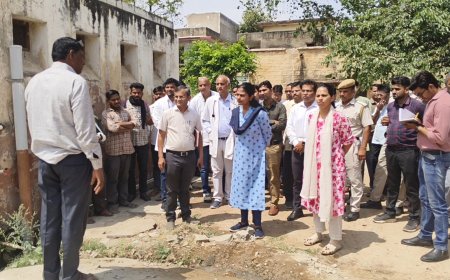 सामुदायिक स्वास्थ्य केंद्र का जिला कलैक्टर ने निरीक्षण कर दिए सुधार के निर्देश