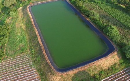 फार्म पौण्ड योजना से किसानों को मिल रहा लाभ; जल संरक्षण के साथ बढ़ेगा उत्पादन