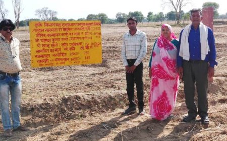 तारबंदी योजना से किसानों को फसल सुरक्षा में मिल रही मजबूती 60 प्रतिशत तक अनुदान का प्रावधान