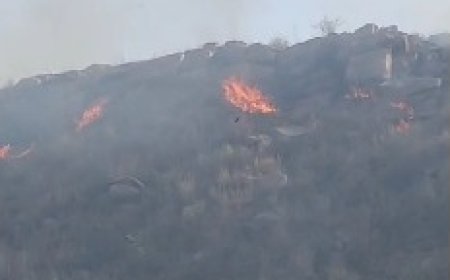 अन्तापाडा की पहाड़ियों में लगी भीषण आग; वन विभाग और ग्रामीणों ने पाया काबू, वन संपदा को नुकसान