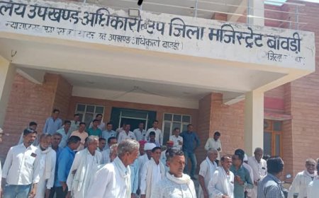 ओलावृष्टि से किसानों के अरमानों पर फिरा पानी, मुआवजे की मांग को लेकर एसडीएम को सौंपा ज्ञापन