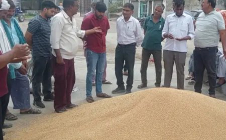 गोविंदगढ़ में शुरू नहीं हुई गेहूं की खरीद: मंडी में अव्यवस्था से किसान परेशान, सस्ते में फसल बेचने को मजबूर