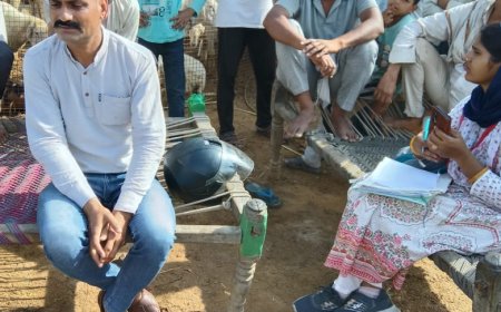 गोविंदगढ़ में तूफान से 18 भेड़ों की मौतः बाड़े की दीवार गिरने से मलबे में दबीं, पशुपालक को भारी नुकसान  एक्सीडेंट