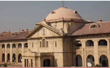 फर्जी दस्तावेजों पर 35 साल नौकरी करने वाली सहायक शिक्षिका को हाई कोर्ट ने राहत से किया इनकार, याचिका खारिज