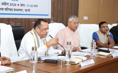 ’जिला विकास समन्वय और निगरानी समिति  दिशा की बैठक, विभिन्न योजनाओं में प्रगति लायें - सांसद चौधरी