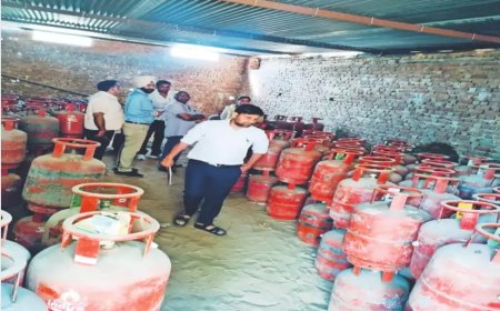 गैस एजेंसी का भंडाफोड़ , वैर में गैस एजेंसी पर छापा, कनेक्शन सिर्फ 20, गोदाम से 282 सिलेंडर जप्त