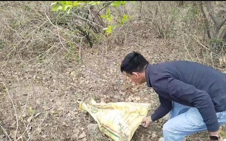 घर में दिखा अद्भुत जीवआदर्श विहार में सुरक्षित रेस्क्यु कर जंगल में छोड़ा