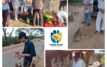 विश्व नवकार महामंत्र दिवस 2.0 के उपलक्ष्य में वीर सेवा संस्थान  ने किया जीवदया कार्य