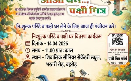 अर्पण सेवा फाउंडेशन द्वारा 14 अप्रैल को 'पंछी मित्र अभियान 2.0' का आगाज़; निशुल्क वितरित किए जाएंगे परिंडे और पंछी घर