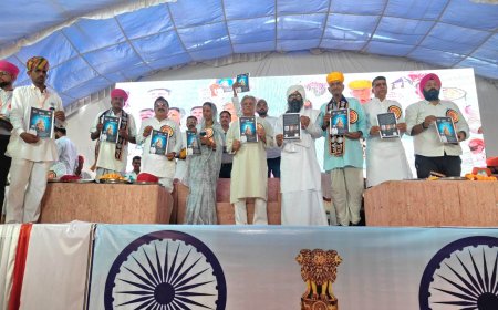 नागौर के पर्यावरण प्रेमी डॉ. ललित कुमार आचार्य 'डॉ. अंबेडकर कीर्ति सम्मान 2026' से सम्मानित