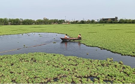 मानसरोवर झील प्रकरण: NGT में रिपोर्ट पेश, 64 बीघा जमीन के हेरफेर और सीवरेज प्रदूषण पर सख्त रुख; गंभीर अनियमितताएं उजागर