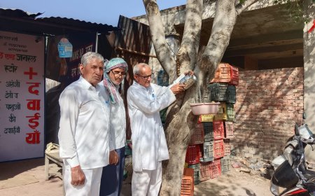 चिलचिलाती धूप में पक्षियों के लिए 'संबल': समाजसेवी मदनलाल भावरिया ने झडाया बजरंग धाम के समीप लगाए परिंडे