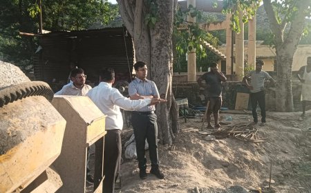 ग्रीष्मकाल में पेयजल आपूर्ति सुनिश्चित करने को लेकर जिला कलक्टर का ग्रामीण क्षेत्रों में निरीक्षण