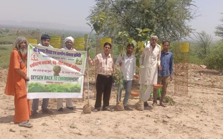 पर्यावरण प्रेमी सुनील कुमार शर्मा ने नन्दी अभ्यारण में पौधरोपण कर मनाया जन्मदिन; इस वर्ष 31,000 पौधे लगाने का लक्ष्य