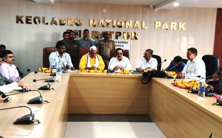 लगातार 43वीं सारस गणना पर्यावरण संरक्षण का मजबूत आधार केवलादेव घना राष्ट्रीय उद्यान हमारा है गौरव- गृह राज्यमंत्री