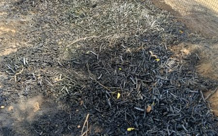 गोविंदगढ़ के इंदपुर में आग से किसान का ईंधन जलकर राख; दमकल नही नहीं पहुंची, प्रशासन पर लापरवाही के आरोप