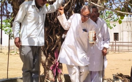 ओम शिव गौशाला पचलंगी में जीव सेवा का संकल्प; गौ-स्वामणी के साथ पक्षियों के लिए लगाए परिंडे