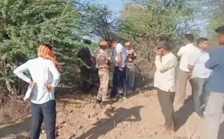 पाली: जाडन टोल नाके के पास मिला 10 दिन पुराना शव, सिर का हिस्सा क्षत-विक्षत; शिनाख्त के प्रयास जारी