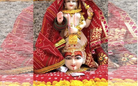 मनाना के श्री शेषनारायण मंदिर में मां दधिमती की मूर्ति प्रतिष्ठित, गूंजे जयकारे