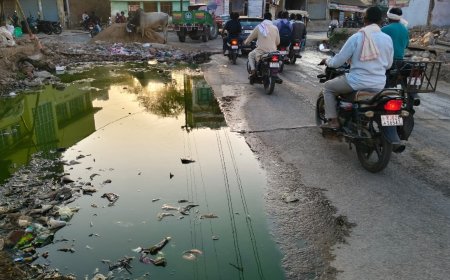 लक्ष्मणगढ़ में सफाई व्यवस्था ठप: वेतन और मानदेय वृद्धि को लेकर सफाईकर्मी हड़ताल पर, कस्बे में लगे गंदगी के ढेर; बीमारियों का बढ़ा खतरा