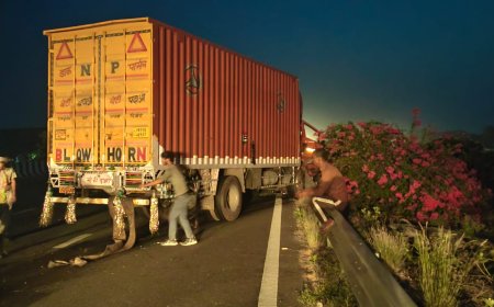 दिल्ली-मुंबई एक्सप्रेस-वे पर भीषण सड़क हादसा; अनियंत्रित होकर डिवाइडर से टकराई कैंटर, चालक गंभीर