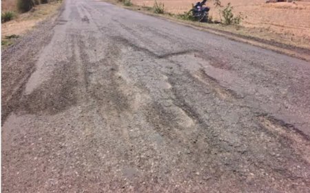 नौगांवा-शेरपुर मुख्य मार्ग की बदहाली पर फूटा ग्रामीणों का गुस्सा; सैकड़ों गड्ढों ने बढ़ाई लालदास मंदिर आने वाले श्रद्धालुओं और राहगीरों की मुसीबत