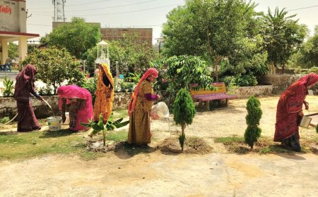 भीषण गर्मी का सितम: मकराना निवर्तमान पार्षद ने मुख्यमंत्री शहरी रोजगार गारंटी योजना के समय में बदलाव की मांग की