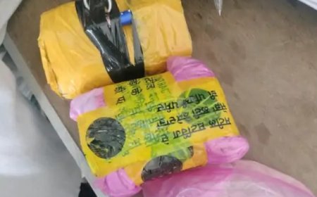 भारत-पाक सीमा पर नार्को-टेरर के खिलाफ बड़ी सफलता: 5 करोड़ की हेरोइन के साथ तस्कर गिरफ्तार