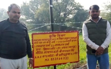 बयाना के किसानों के लिए खुशखबरी: कृषि विभाग ने दोबारा खोले अनुदान योजनाओं के पोर्टल, 'पहले आओ-पहले पाओ' के आधार पर मिलेगा लाभ