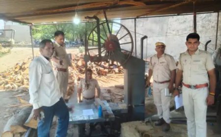 सीकरी में वन विभाग की कार्रवाई, बिना नोटिस 5 आरा मशीनें सीज करने पर सांसद संजना जाटव ने उठाए सवाल; जिला कलेक्टर को पत्र लिख जांच की मांग की