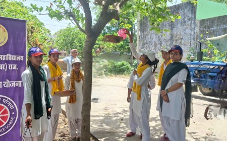 अग्रसेन महिला महाविद्यालय खेरली की छात्राओं ने संभाली पक्षियों की जिम्मेदारी;  परिंडा लगाओ, परिंदा बचाओ अभियान की हुई शुरुआत