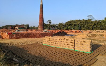 हाईकोर्ट से ईंट भट्टा संचालकों को बडी राहत; सरकार से 150 दिनों की रॉयल्टी वसूली पर हाईकोर्ट ने मांगा जवाब